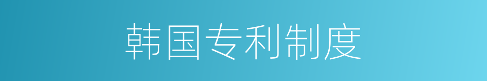 韩国专利制度的同义词