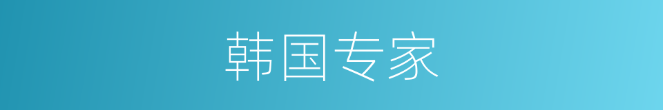 韩国专家的同义词