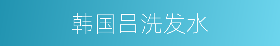 韩国吕洗发水的同义词