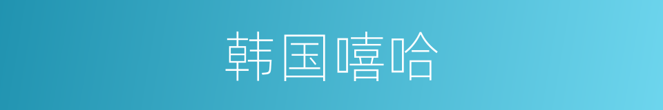 韩国嘻哈的同义词