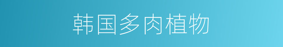 韩国多肉植物的同义词
