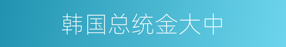 韩国总统金大中的同义词