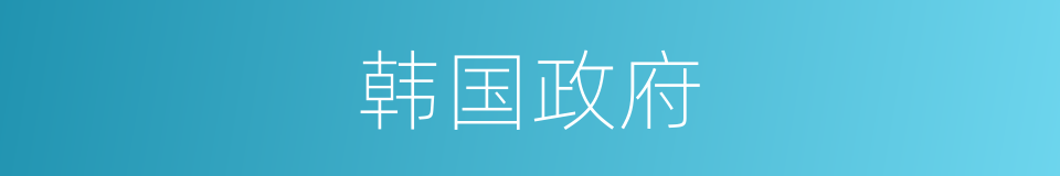 韩国政府的同义词