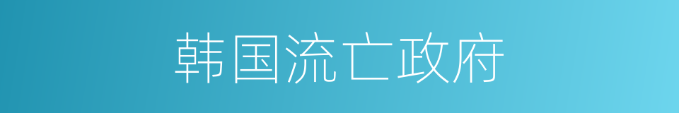 韩国流亡政府的同义词