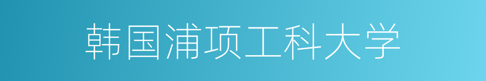 韩国浦项工科大学的同义词