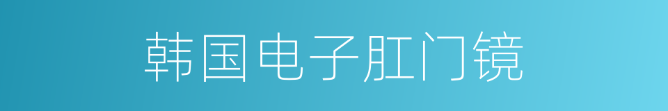 韩国电子肛门镜的同义词