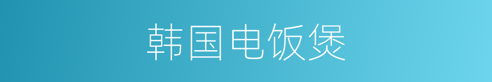韩国电饭煲的同义词