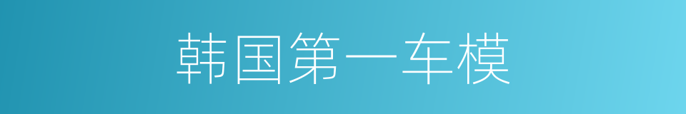 韩国第一车模的同义词