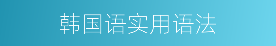 韩国语实用语法的同义词