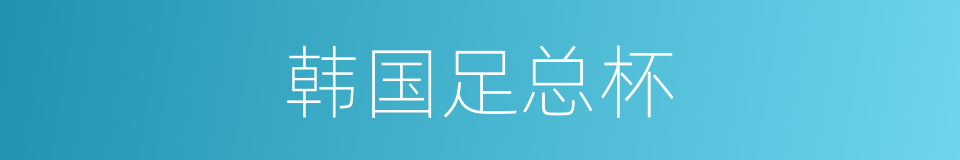 韩国足总杯的同义词