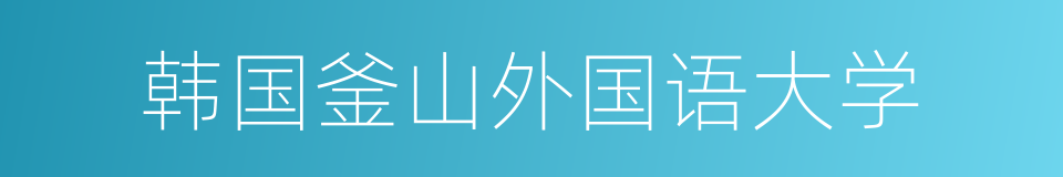 韩国釜山外国语大学的同义词