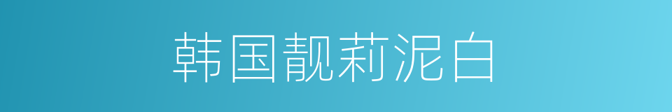 韩国靓莉泥白的同义词