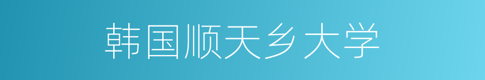 韩国顺天乡大学的同义词