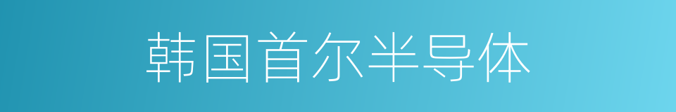 韩国首尔半导体的同义词