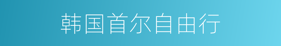 韩国首尔自由行的同义词