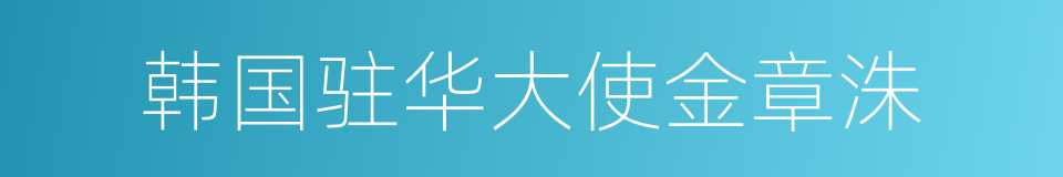 韩国驻华大使金章洙的同义词