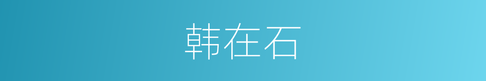 韩在石的同义词