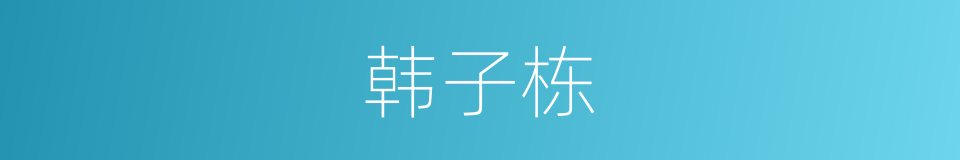 韩子栋的同义词