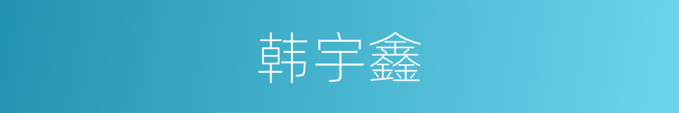 韩宇鑫的同义词