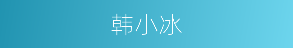 韩小冰的同义词