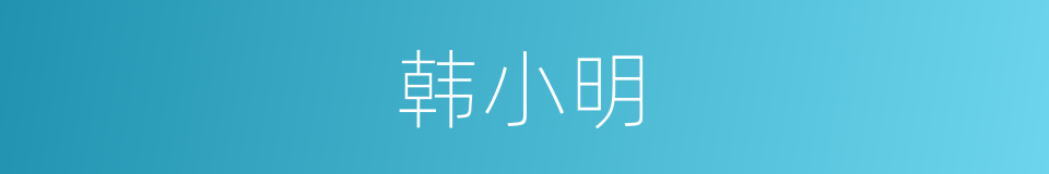 韩小明的同义词