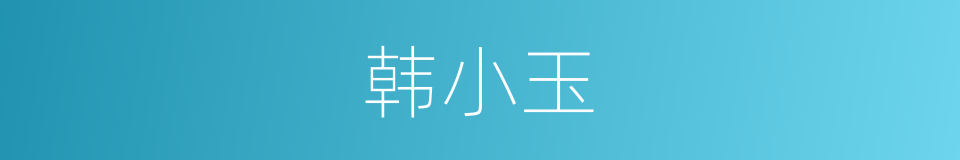 韩小玉的同义词