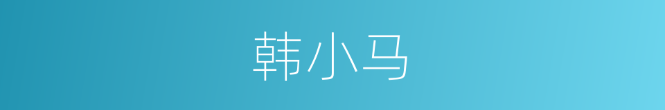 韩小马的同义词
