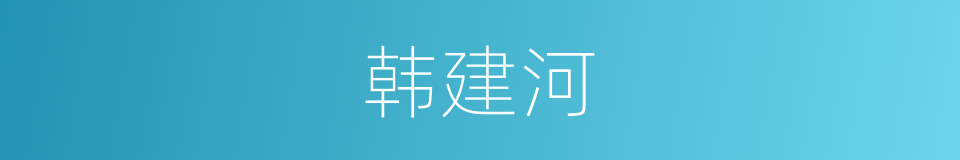韩建河的同义词