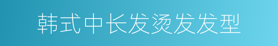 韩式中长发烫发发型的同义词