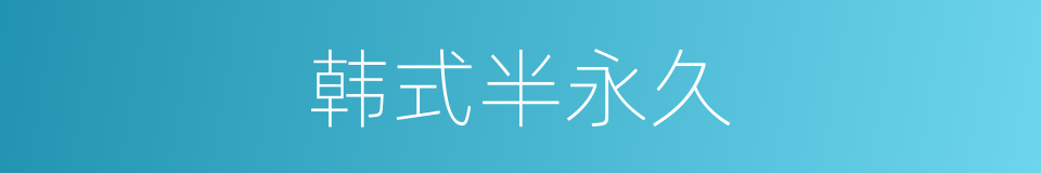 韩式半永久的意思