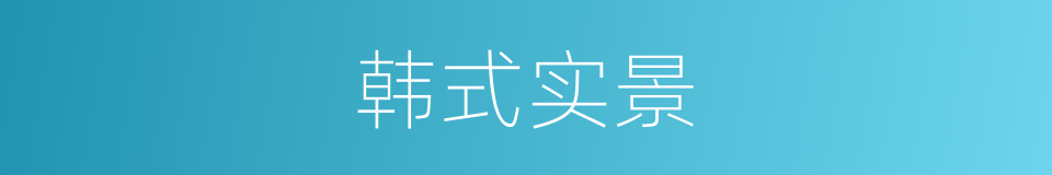 韩式实景的同义词