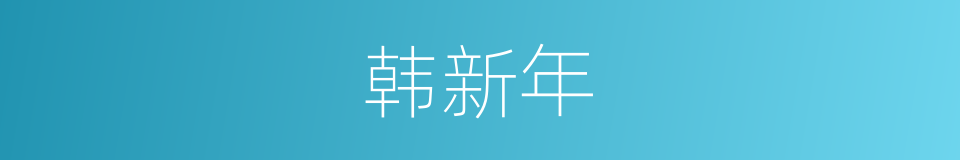 韩新年的同义词