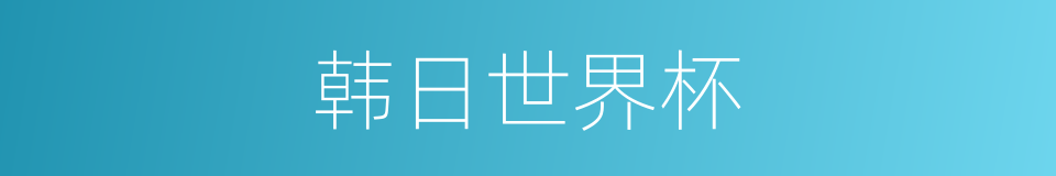 韩日世界杯的同义词
