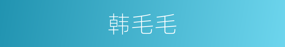韩毛毛的同义词