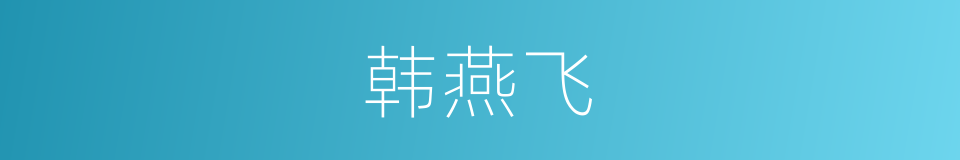 韩燕飞的同义词