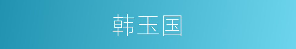 韩玉国的同义词