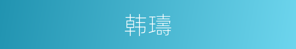 韩璹的同义词