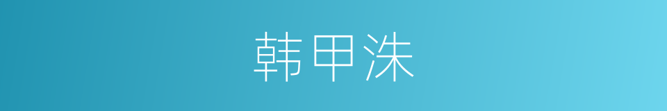 韩甲洙的同义词