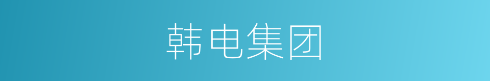 韩电集团的同义词