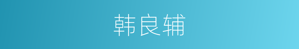 韩良辅的同义词