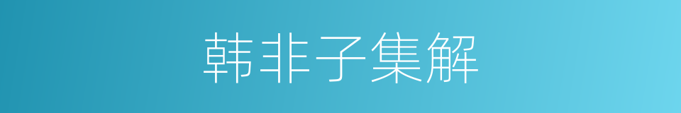 韩非子集解的同义词