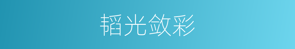 韬光敛彩的同义词