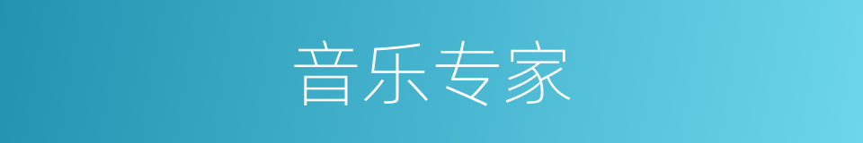 音乐专家的同义词