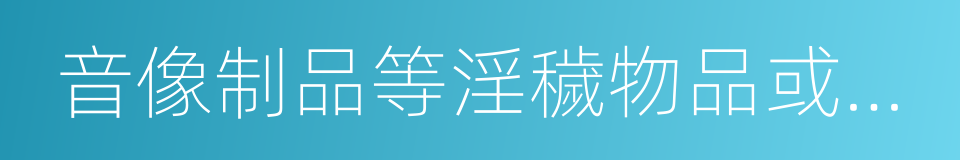 音像制品等淫穢物品或者利用計算機信息網絡的同義詞