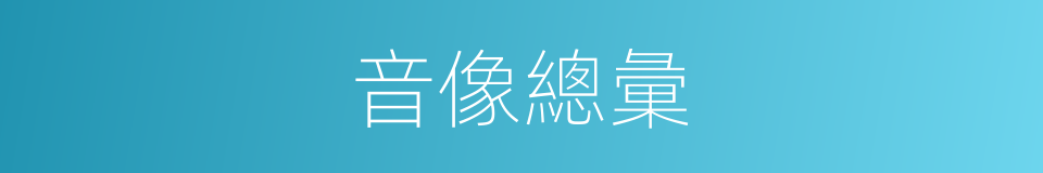 音像總彙的同義詞