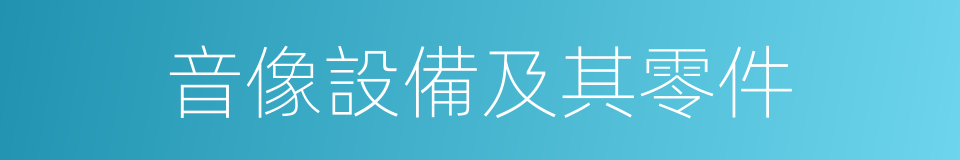 音像設備及其零件的同義詞