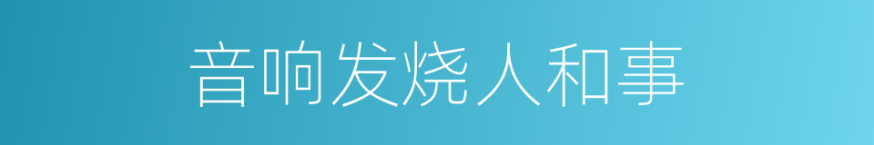 音响发烧人和事的同义词