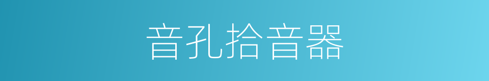 音孔拾音器的同义词