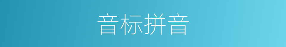 音标拼音的同义词