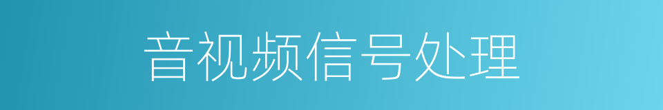 音视频信号处理的同义词